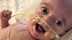 Wesley Patterson Obituary (2022