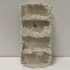 molly lawlor (@m.ollj) • Instagram photos and videos