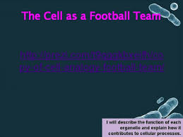 We did not find results for: Cell Structure And Function What The Cell Is