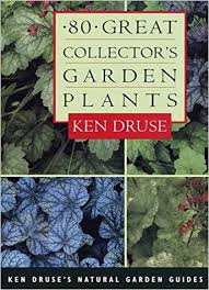 Check spelling or type a new query. Buy 80 Great Collector S Garden Plants Ken Druse S Natural Garde Guides Guides Book Online At Low Prices In India 80 Great Collector S Garden Plants Ken Druse S Natural Garde Guides Guides Reviews
