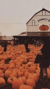 jade cleland (jade_cleland)