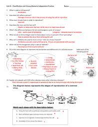 Back to kingdom fungi coloring worksheet answersfungi coloring answer key recognizing the pretension ways to acquire this ebook fungi coloring answer key is additionally useful. Virus Worksheet Answer Key Worksheet List