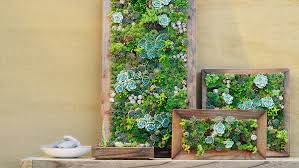 Beautify bare walls with living plants. Make Your Own Diy Vertical Succulent Wall Planters Sunset Sunset Magazine