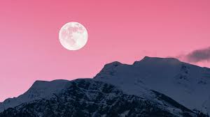 Traditionally known as the pink moon, it will peak at 11:32 p.m. Qtpochuvh Gvvm