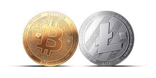 This is basically the total coin amount each virtual currency can produce. Bitcoin Vs Litecoin What S The Difference