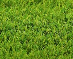 Everyday low prices · savings spotlights · curbside pickup Easy Turf Pet Friendly Fake Turf For Residential Lawns