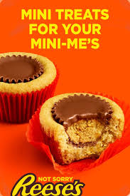 Reese S Peanut Butter Cups Cookie Recipe Cookies Recipes Christmas Cookie Recipes Yummy Food Dessert