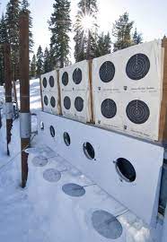 Used biathlon and target rifles are listed under the used firearms category. Good Times With Guns Biathlon Returns To Tahoe Moonshine Ink