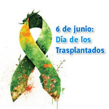 ANASOVI - Día Mundial del Paciente Trasplantado Convertirse en un paciente  en espera de algún órgano es una de las situaciones más difíciles para  cualquier persona. No sólo por el tiempo de