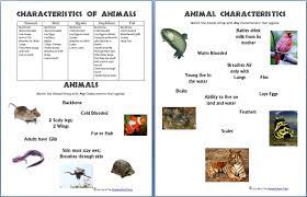 Animals And Their Characteristics Free Worksheet Homeschool Den Science Worksheets Free Science Worksheets Homeschool Science Curriculum