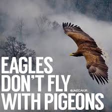Cannot Fly Birds That Don T Fly Eagles Don T Fly With Pigeons Eagles Quotes Thinking Quotes Leadership Quotes