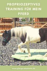 pfergo bucher pferd pferde training pferde
