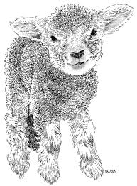 Black And White Sheep Drawing Nardja Kerkmeer Portretten En Tekeningen Lamb Drawing Sheep Art Stippling Art
