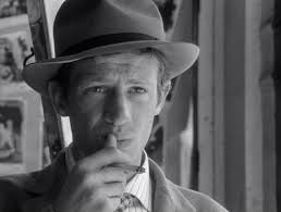 Cinematic Scribblings