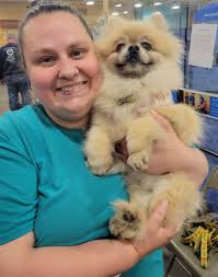 This adorable woofer named Love attracted all the ladies to the yard.