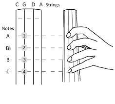 Cello Position Diagram The Cello Companion