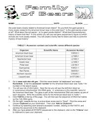 Student Sheet For Bear Evolution Activity