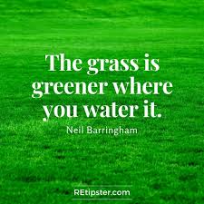 The Grass Is Greener Where You Water It Neil Barringham Words Of Wisdom Words Insightful Quotes
