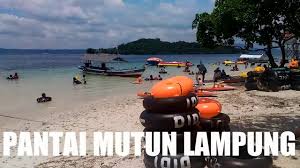 Amphitrite ditemukan di pantai mutun dan pantai sariringgung. Escape From Jakarta Pantai Mutun Lampung Youtube