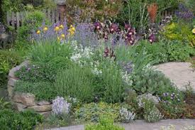 Garten Groene De Termine Gartenreise Deutschland De Garten Pflanzen Garten Ideen