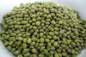 We did not find results for: Cara Memilih Bibit Kacang Hijau Yang Baik Dan Unggul Ditanam Ilmubudidaya Com