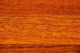 The mahogany tree is found in the tropical rainforest biome. Mahogany Wood Texture Wooden Planks Stock Illustration Illustration Of Maun Fibers 146604467