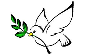 Resultado de imagen para foto paloma de la paz