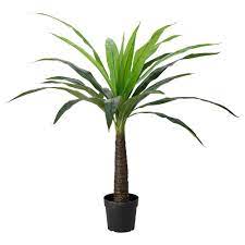 fejka artificial potted plant indoor outdoor palm diameter of plant pot 9 ikea kunstplanten planten tuinplanten