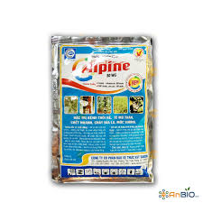 Alpine 80WP