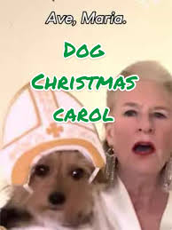 10/10 No notes 🤌 Showstopping 🎶💕 (Via