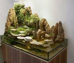 Pin By Halil Bostanci On Caja De Los Deseos Aquarium Aquarium Design Aquascape