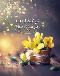 pin by zoha mehydeen on مواعظ خواطر إسلامية arabic quotes have patience quotes quran quotes inspirational