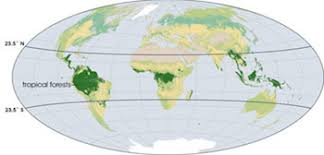 The source map only covers a small portion of brazil, definitely not the entirety of the amazon. What Are Tropical Rainforests Definition Plants Animals Video Lesson Transcript Study Com