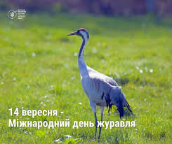 Державна - Чорноморський кам'яний краб Краб кам'яний - це донна тварина, яка живе на глибинах до 30 метрів, переважно в місцях з кам'янистим ґрунтом, зустрічається й біля берега на глибині до 3