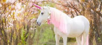 Download Is Your Cyber Security Group A Unicorn Or A Donkey Synopsys