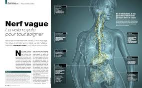 Epingle Sur Infography Wellness Health