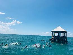 1 review of sorrento boat pier sorrento boat pier is well known around the melbourne area for its boat cruses (the moonraker ii boat) that take you out into the bay to swim with dolphins and sea lions in their natural habitat. 3hr Dolphin And Seal Adventure Cruise Sorrento Moonraker Charters Epic Deals And Last Minute Discounts