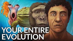 Charles Darwin Explains The Origin of Species & His Theory of Evolution