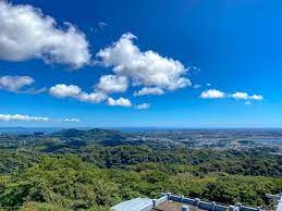 関東の登山初心者は360度眺望が楽しめる大楠山ハイキングから始めてみようぜ ハイキングコース 登山 日帰り