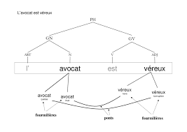 L'avocat n'est pas le seul fruit que vous pouvez considérer comme un légume. 4 L Avocat Est Vereux Il Existe Deux Interpretations Possibles Download Scientific Diagram