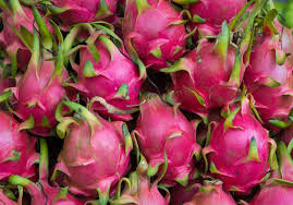 Yes, dogs can eat dragon fruit. Can I Eat The Skin Of A Dragon Fruit Quora