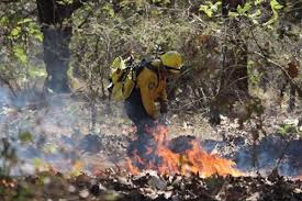 Usuarios de redes sociales han compartido diversos videos y fotografías de la emblemática catedral incendiándose. Otro Incendio Forestal Ahora En Tzucacab Haz Ruido