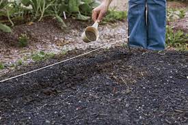 With a ph of 7.4, you may be able to use edta chelated iron, but you'll probably have better luck with eddha chelated iron. Put The Life Back Into Your Soil Finegardening