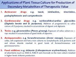 These cell cultures can be used for the production of bioactive substances such as secondary metabolites (plant cells), vaccines (insect cells) and recombinant proteins (plant and animal cells) having importance in pharmacy and cosmetics. Biotechnological Production Of Natural Products By Dr Refaat Hamed