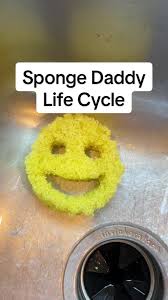 Scrub Daddy Funny Video | TikTok