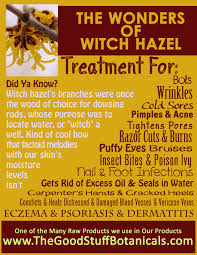 Witch hazel has been used to treat inflammation and hemorrhoids for a very long time. Witch Hazel