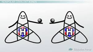 Polar And Nonpolar Covalent Bonds Definitions And Examples Video Lesson Transcript Study Com Covalent Bonding Symbiotic Relationships Lesson