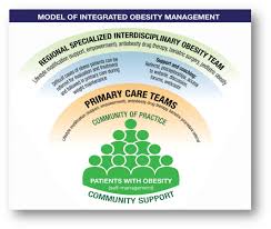 Image result for Obesity Management