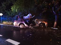 To miejsce o dużym nasileniu ruchu pieszego, w pobliżu. Rybnik Wypadek Samochod Uderzyl W Drzewo Nie Zyje 19 Latka Wiadomosci