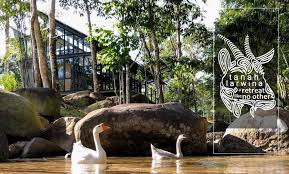 Hulu langat selangor commercial land from 1 sf. Tanah Larwina Retreat Interview Airbnb Placefu